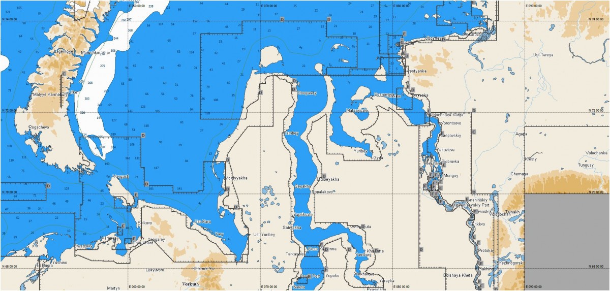 Карта глубин C-Map MAX-N RS-N203 – купить в СПб навигационную картуСеверного побережья России для эхолотов-картплоттеров Lowrance, Simrad